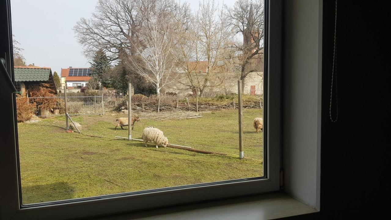 Zimmervermietung Zahn Baalberge Екстериор снимка